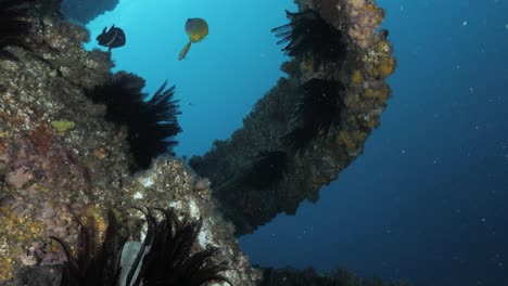 A-unique-scuba-divers-view-exploring-an-underwater-art-structure-created-as-an-artificial-reef