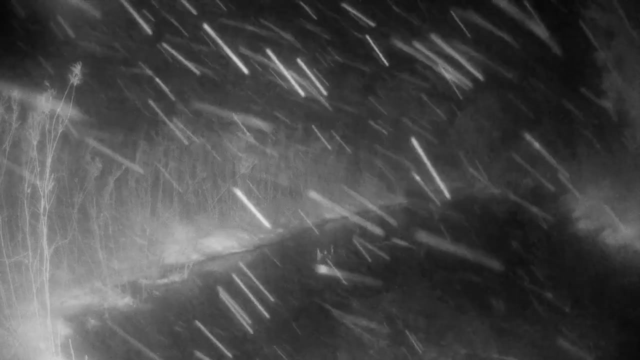 Fuertes nevadas por la noche sobre un arroyo forestal, mostrado en blanco y negro por una cámara de rastreo en invierno. Estonia