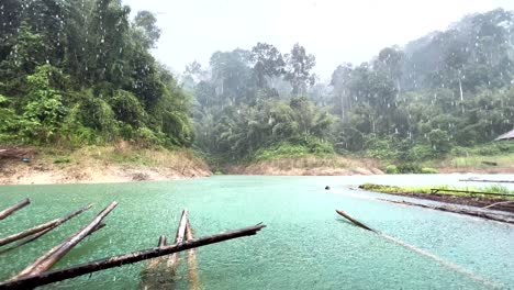 beautiful tropical rain over the khao sok national park in thailand