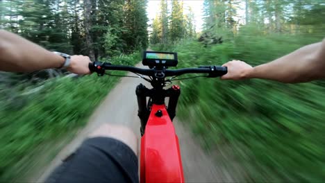 man goingt hrough the forest with his ebike