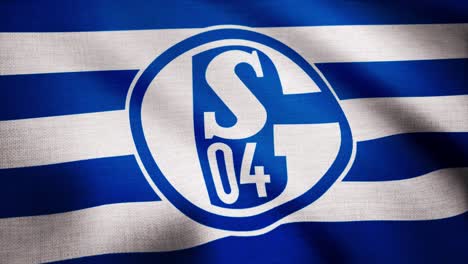 image of the s04 logo on a flag