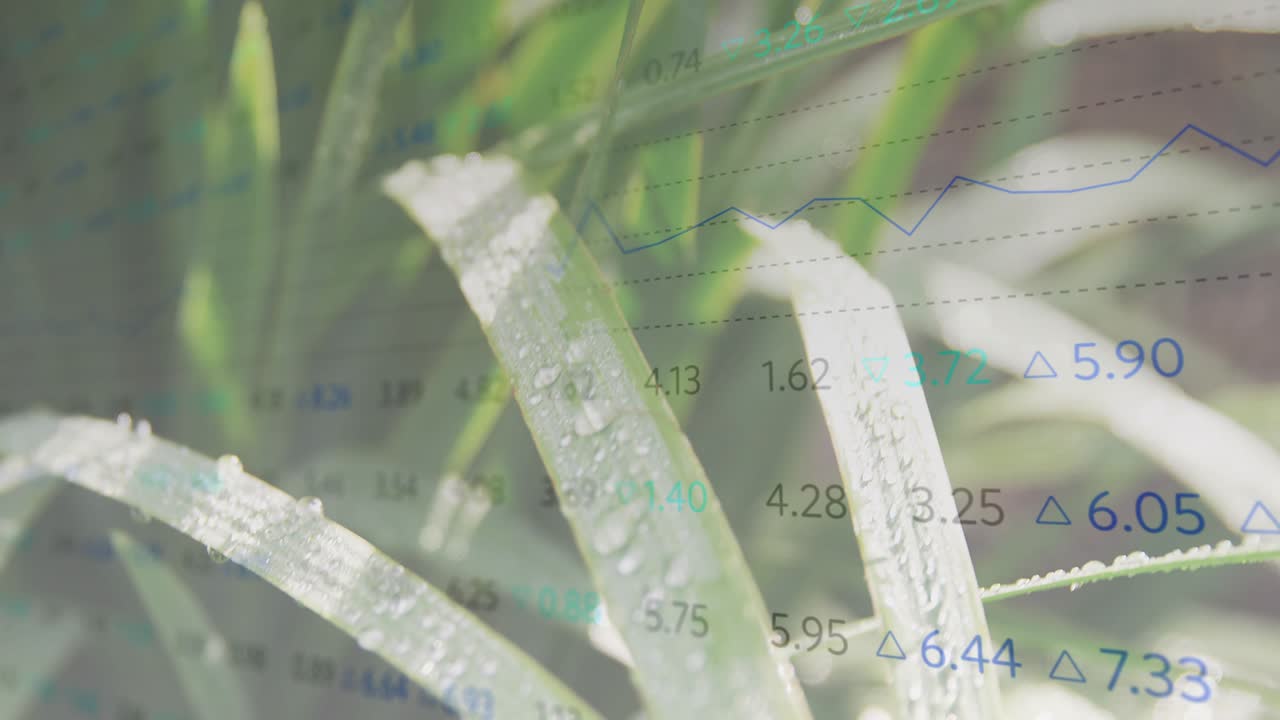 Narrow leaf clump shifting from breeze and camera pull, data overlay scrolling showing dew beads