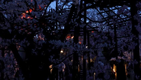 kyoto