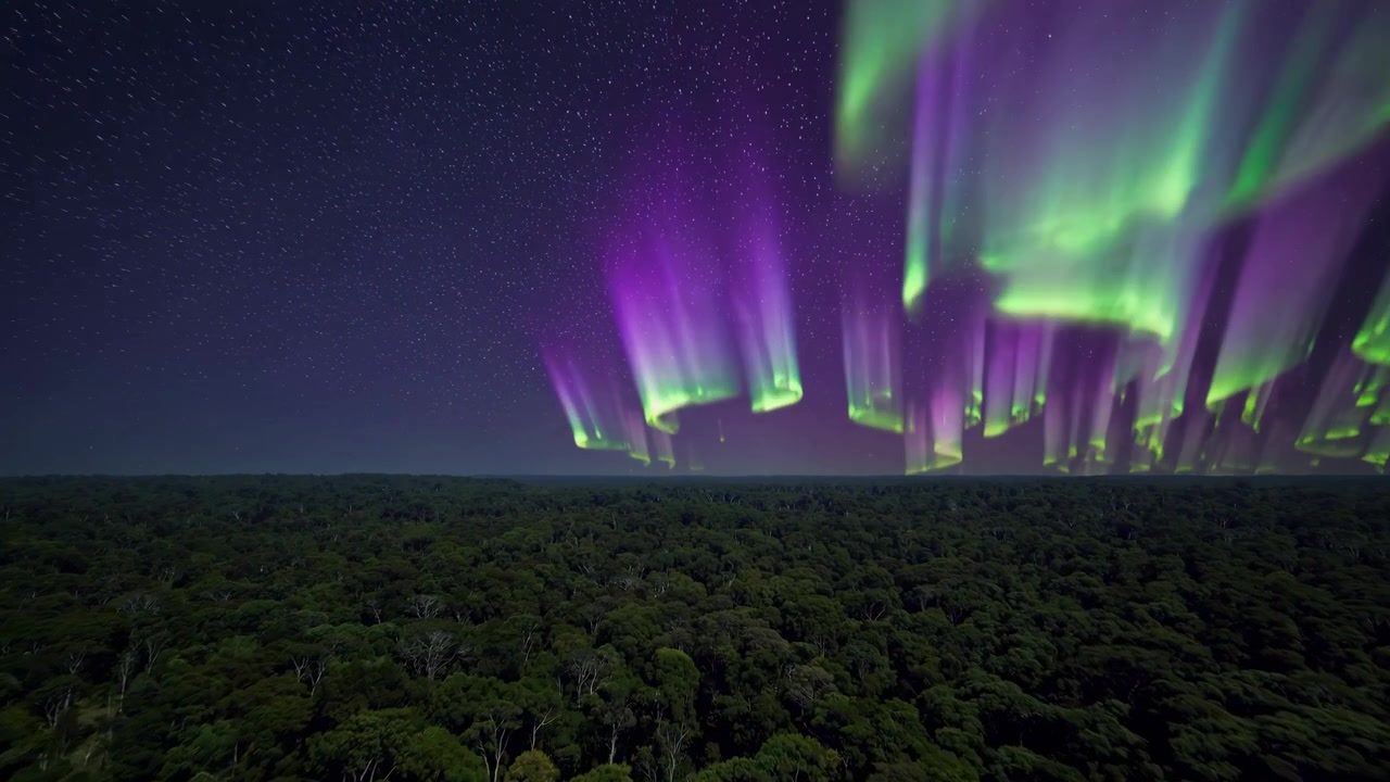 Vibrant Aurora Borealis Over a Dense Forest at Night