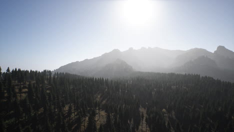 mountains and forest