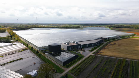 massive greenhouses in vast landscape of belgium, aerial drone view