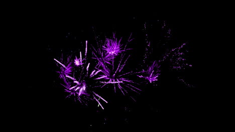 violet fireworks 4k