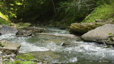 un ruisseau d'eau lisse roule sur des roches plates coulant doucement dans la forêt