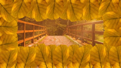 animation of frame of autumn leaves over bridge and autumn forest background