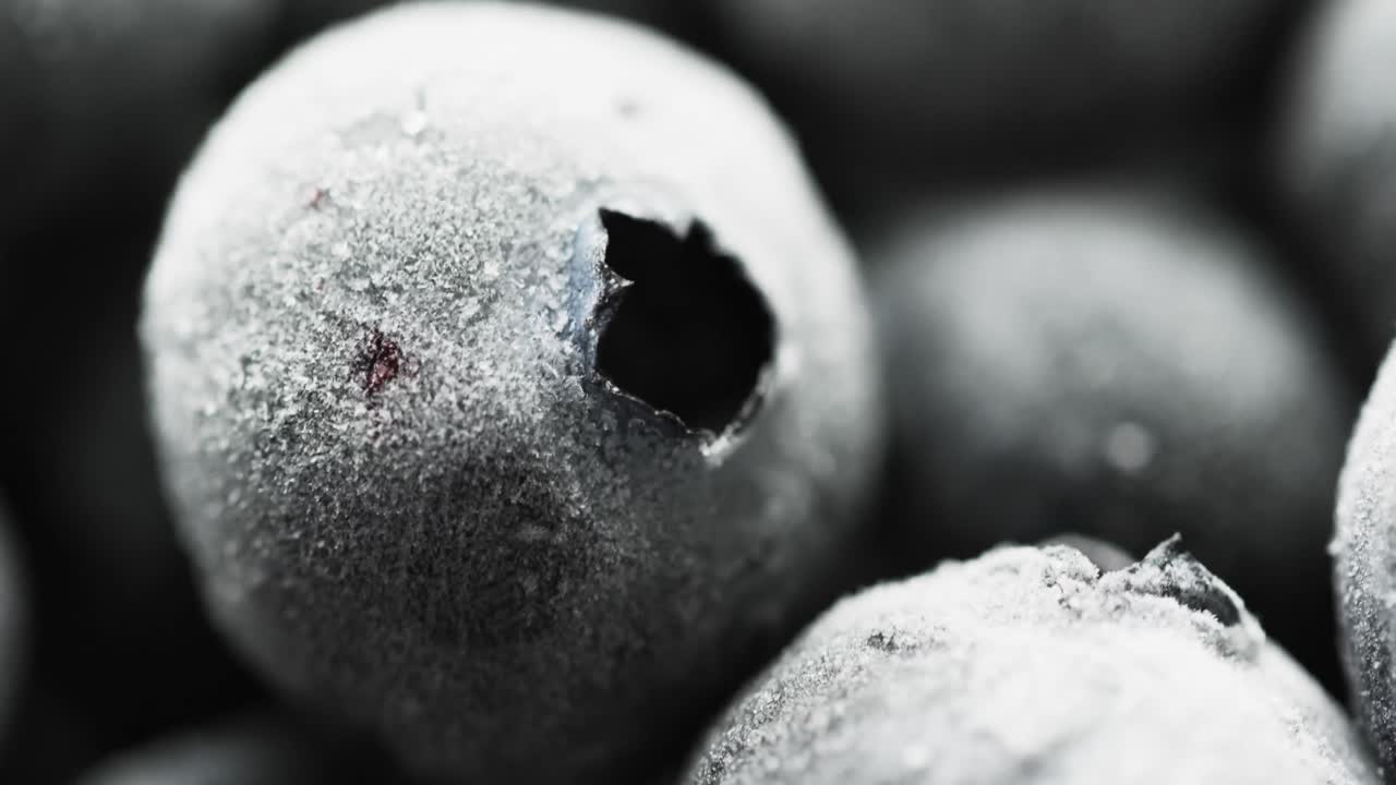 검은색 배경에 복사 공간이 있는 블루베리의 마이크로 비디오