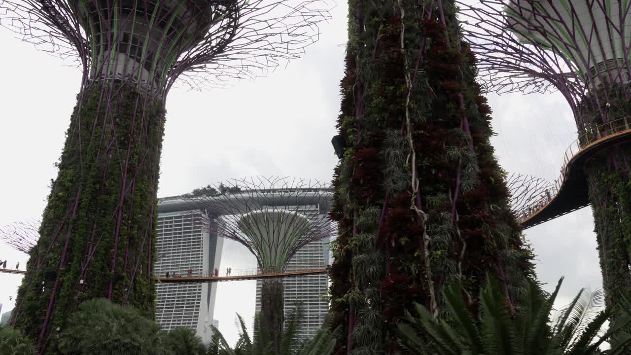 Walking through Gardens by the Bay in Singapore looking up at pedestrians on the OCBC Skyway