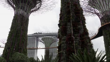 walking through gardens by the bay in singapore looking up at pedestrians on the ocbc skyway