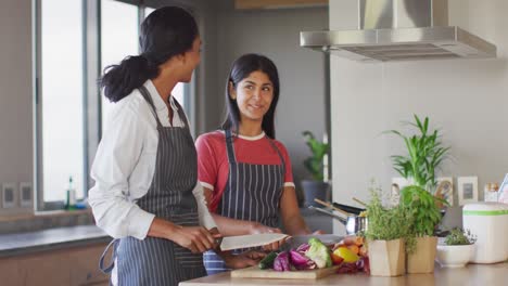 Video-of-happy-diverse-female-friends-cutting-vegetables-and-preparing-meal