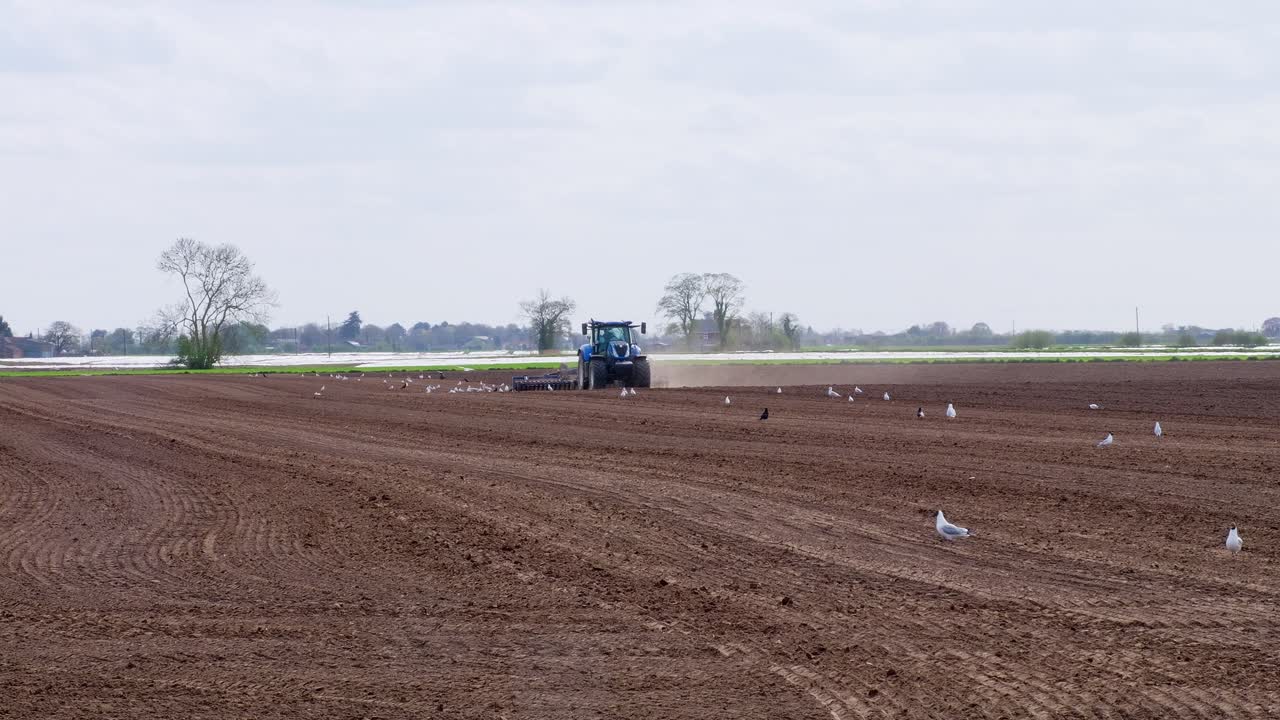 Tractor cultivating field in spring, Lincolnshire farming, blue new tractor with red harrow in the field against a cloudy sky, agricultural machinery plowing farming field