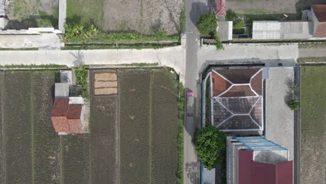 Drone-footage-looking-down-shows-an-articulated-truck-passing-through-villages-and-rice-fields