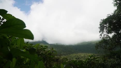 Looking-through-clearing-in-the-trees-to-reveal-forest-canopy-shrouded-in-cloud