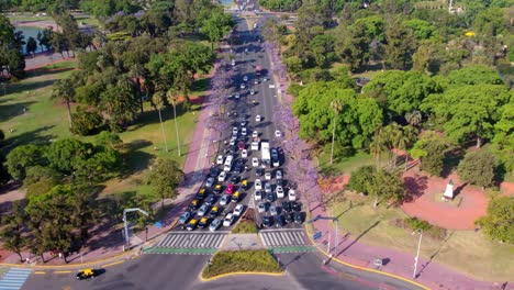 Toma-Aérea-De-Una-Carretera-Saturada-De-Autos-Y-Flanqueada-Por-árboles-De-Jacaranda,-Plazas-Llenas-De-árboles-Alrededor-En-Un-Día-Soleado