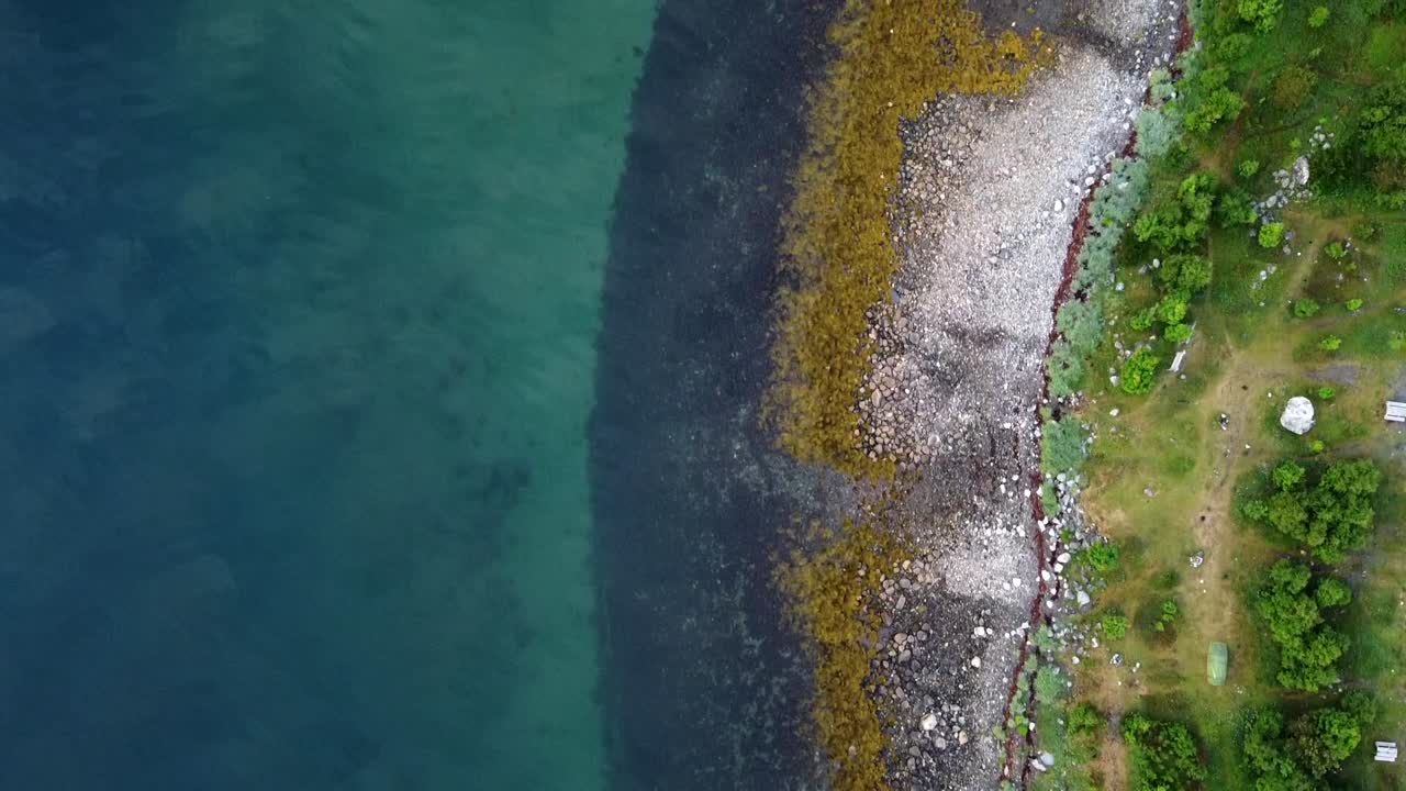agua de mar turquesa junto a la colorida costa de algas marrones, rocas blancas - bosque verde, vista de pájaro
