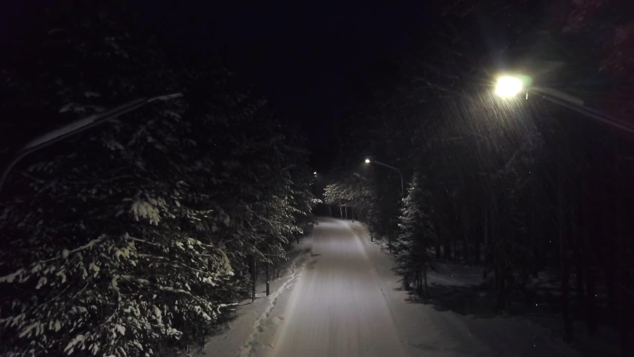 camino de noche nevado a través de un bosque