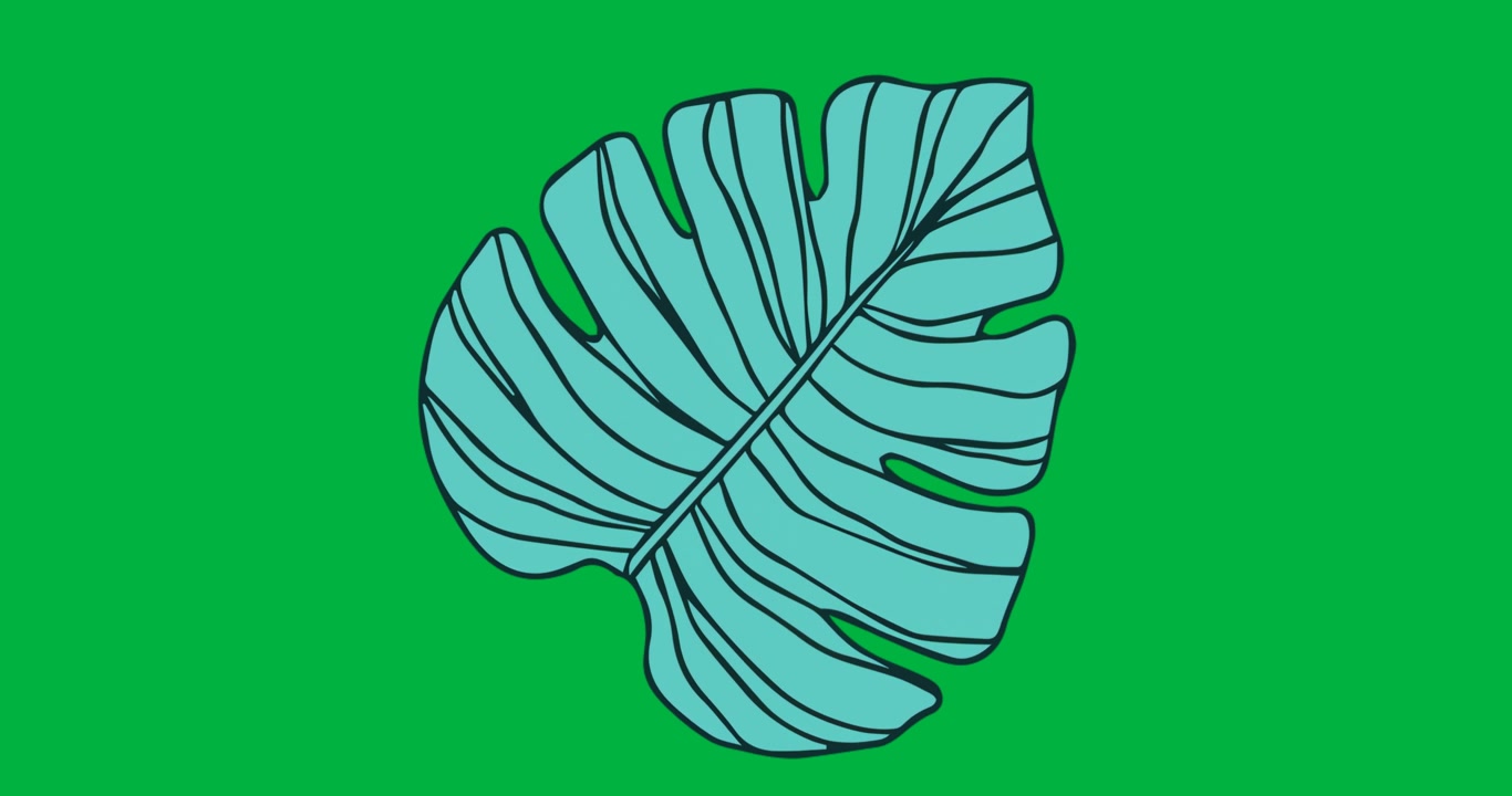 Designers integrating turquoise tropical leaf, showing vein pattern on transparent background