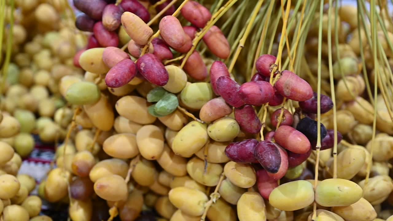 Fresh Emirati Dates are displayed during the Dates Festival in the United Arab Emirates