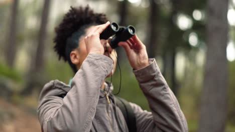 hiking, forest and woman with binocular watch