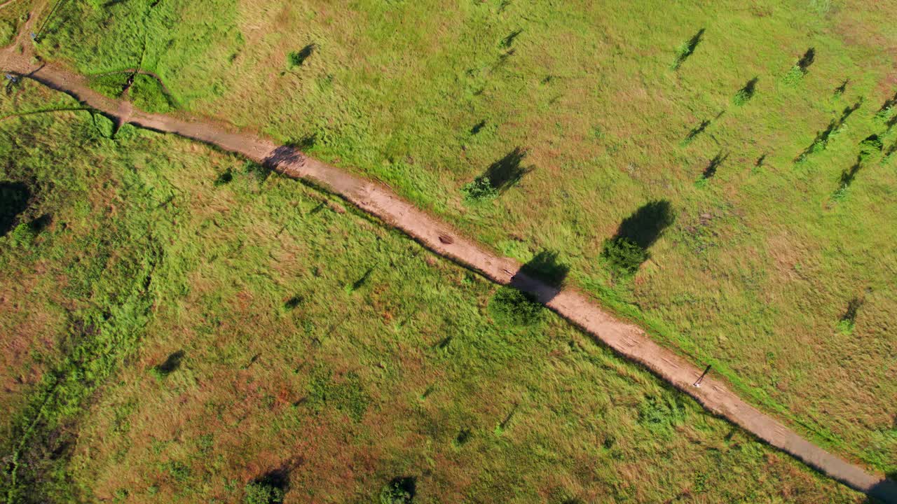 Napa Valley, California. Wide bird's-eye view of people running along a vibrant green hiking trail during sunrise, with the sun casting shadows with the trees.