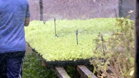 sistema de riego de plantas con rociadores, tecnologías agrícolas, brasil, portátil