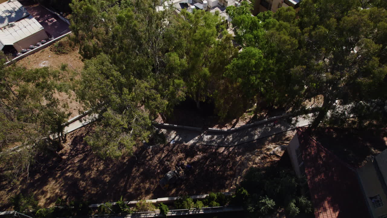 Students studying on the university's lawn in a tilt down shot