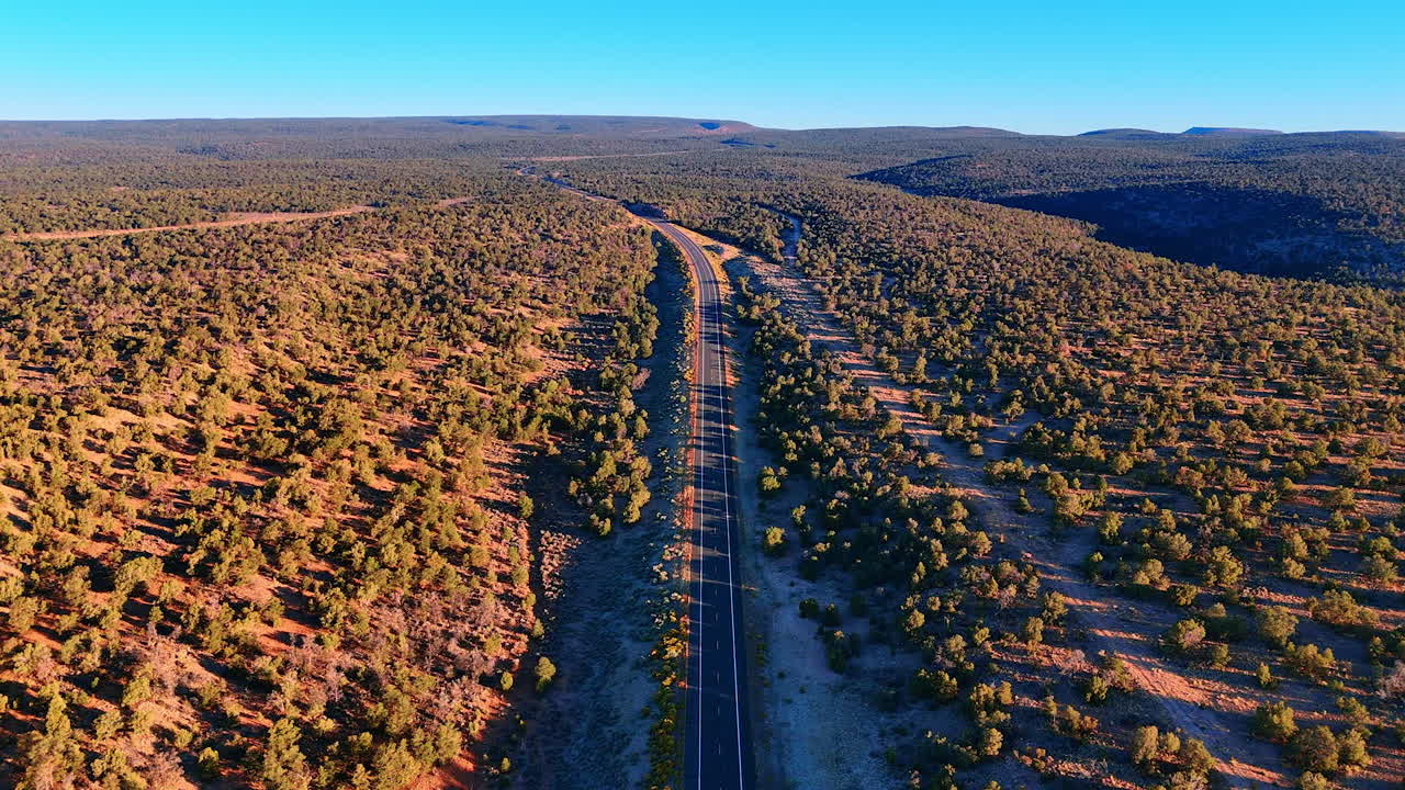 Footage over the highway in the vast valley covered with green bushes. Bright sun lights the scenery. Arizona, USA