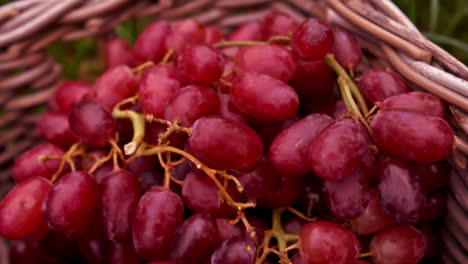 uvas rojas en una canasta en cámara lenta