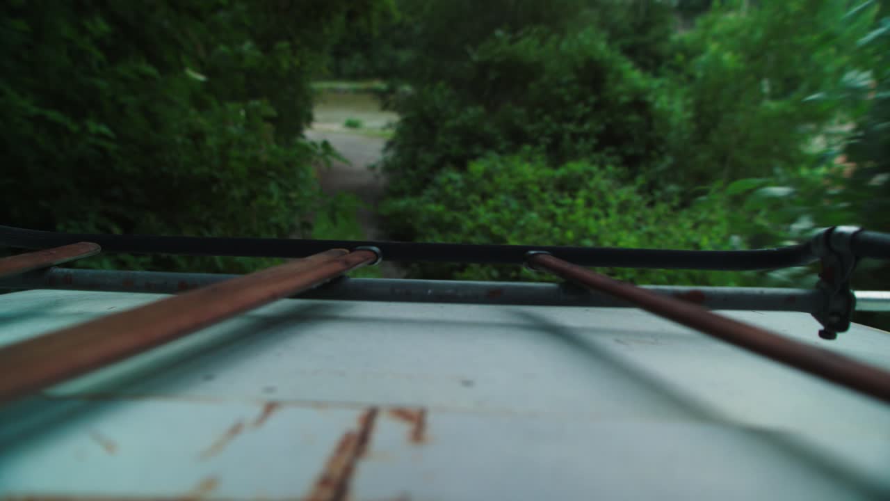 conduciendo en un bosque verde hacia el río, cámara en la baca del coche