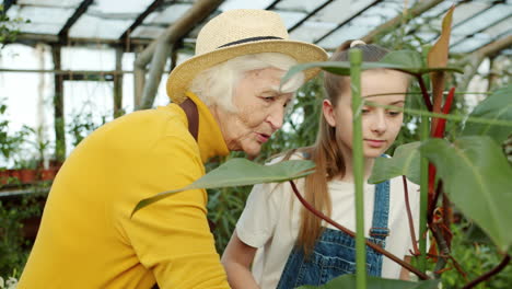 grandmother and granddaughter gardening in greenhouse