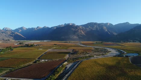 Impresionantes-Vistas-Aéreas-Sobre-El-Valle-Del-Río-Hex-Cerca-De-La-Ciudad-De-De-Doorns-En-El-Cabo-Occidental-De-Sudáfrica-Durante-La-Temporada-De-Otoño-Con-Colores-Asombrosos-En-Los-Viñedos