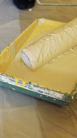 painting wall with roller brush. apartment redecoration and home construction while renovating and improving