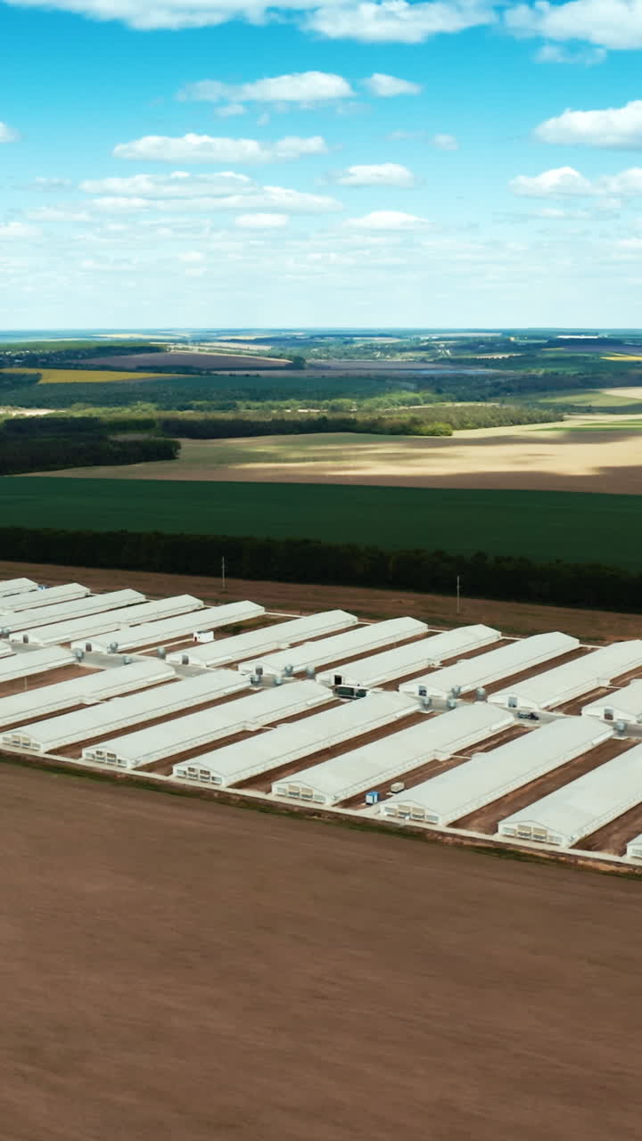Aerial shot of chicken farms. Agriculture industry in countryside from above