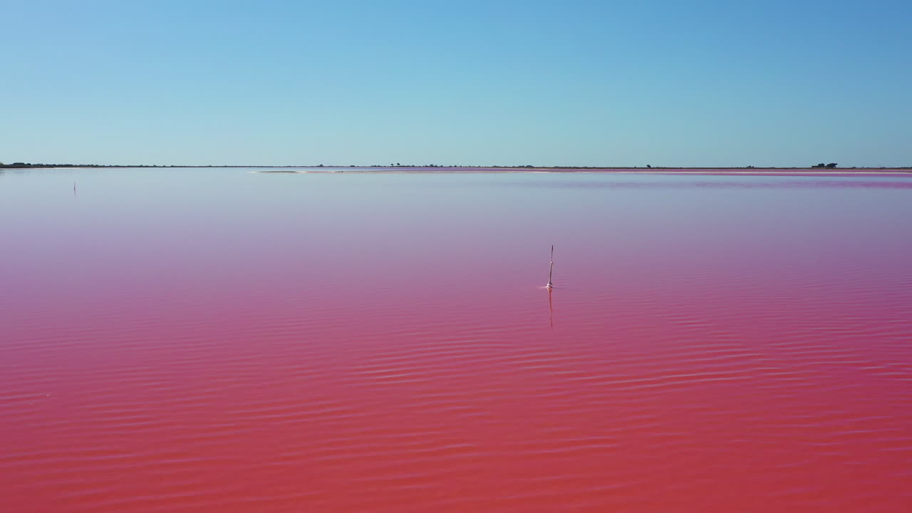 분홍 소금 호수 옆에 위치한 화창한 여름날 프랑스 카마르그에 있는 역사적인 마을 에그 모르트