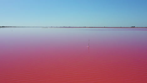 The-historical-town-of-Aigues-Mortes-in-the-Camargue,-France-during-a-sunny-summer-day-which-is-located-next-to-a-pink-salt-lake