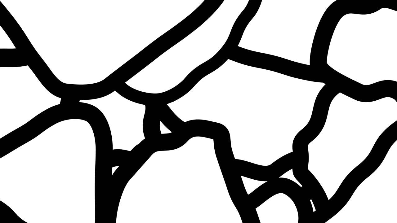 Abstract Black And White Animated Pattern