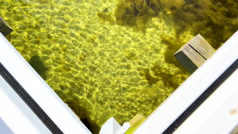 Crystal-clear-hot-spring-pool-bordered-by-white-edges,-with-visible-mineral-formations-beneath-the-water