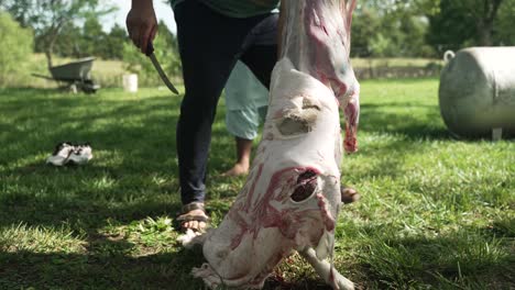 Middle-eastern-man-preparing-sheep-meat-to-eat-in-celebration-of-Muslim,-religious-holiday-Ramadan,-Eid-al-Adha-or-Eid-al-Fitr-in-cinematic-slow-motion