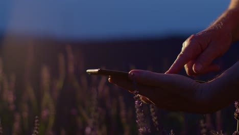 senior farmer man agronomist hands business owner touching digital tablet computer in lavender field