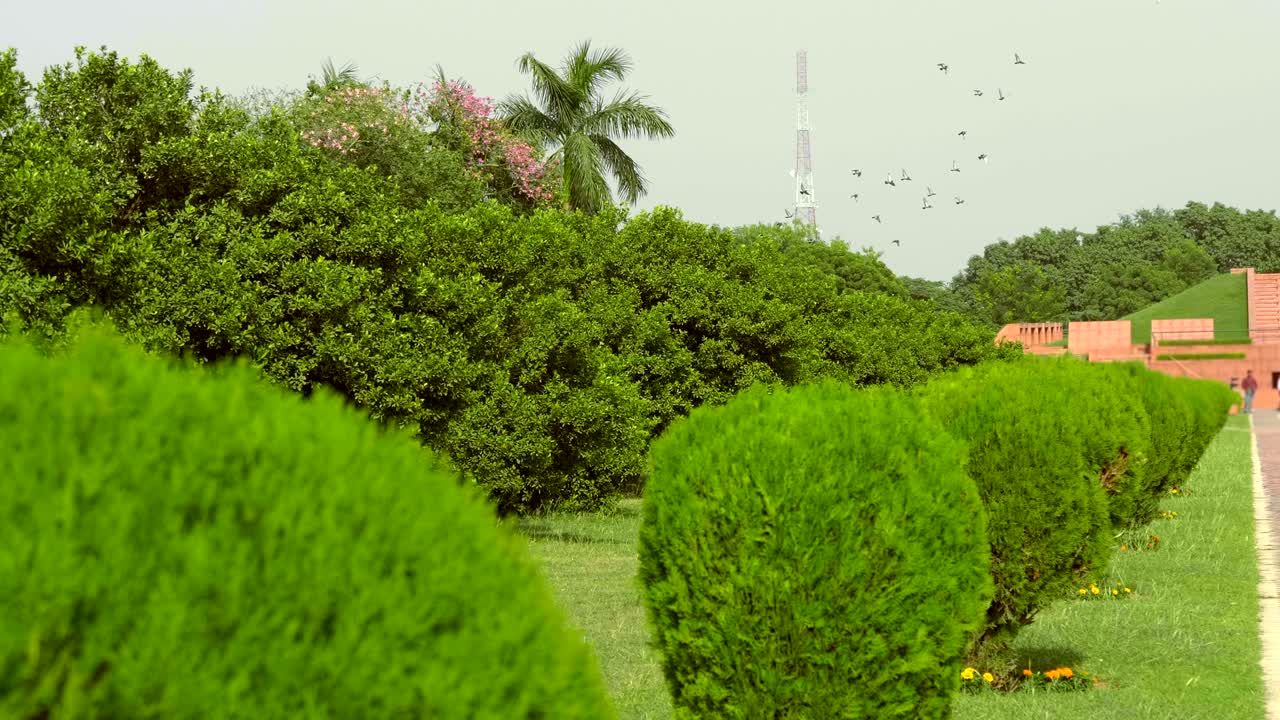 un número de arbustos recortados bajo la esfera se encuentran en una fila a lo largo del callejón