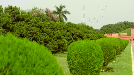 a number of bushes trimmed under the sphere are located in a row along alley