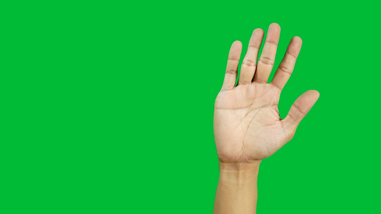 4k: 다양한 인종의 사람들이 서로 다른 시간에 손을 들어서 크로마 키 녹색 화면에 고립됩니다.