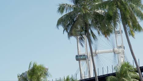 top view of the big ferris wheel in singapore