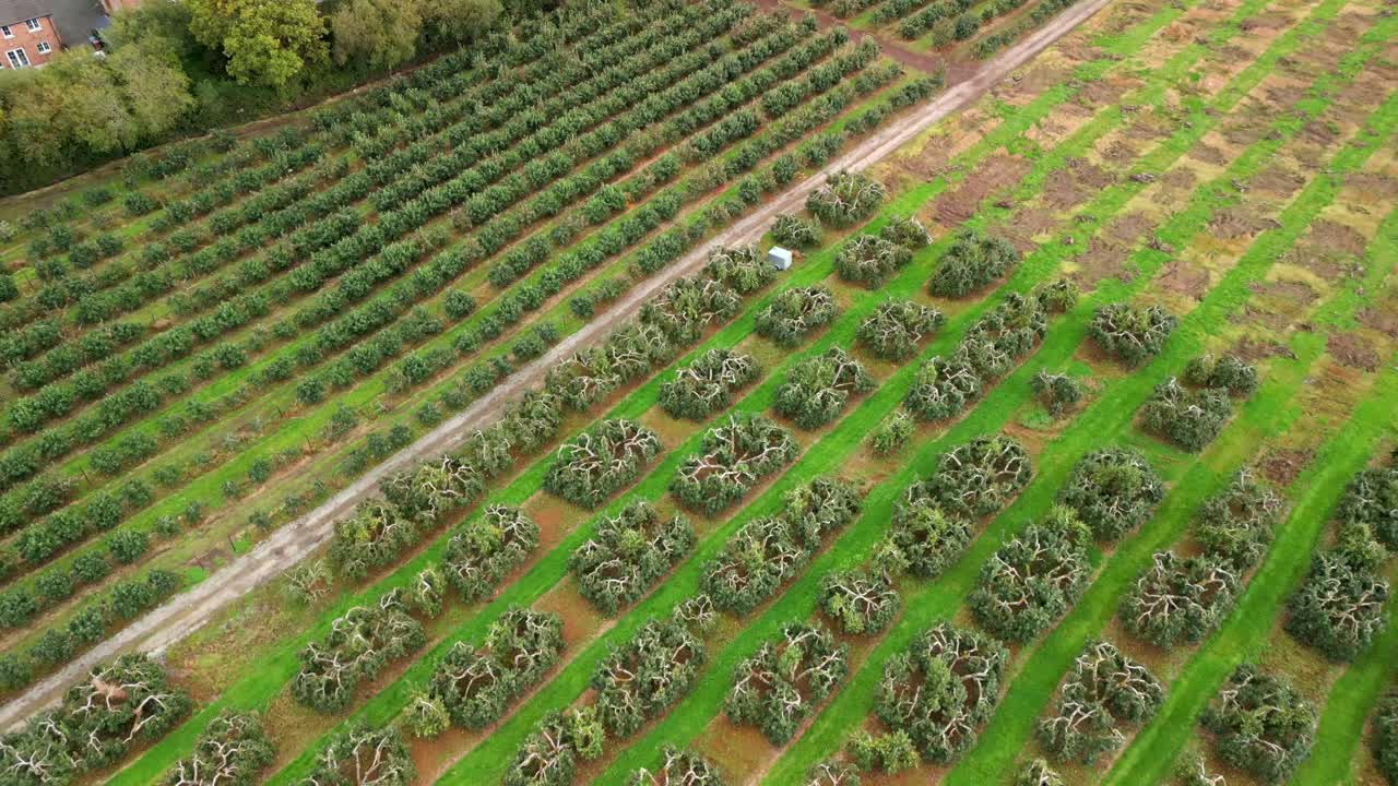 Travelling 4K 60FPS aerial of a cider field on a bright day. Filmed with Rec708 color
