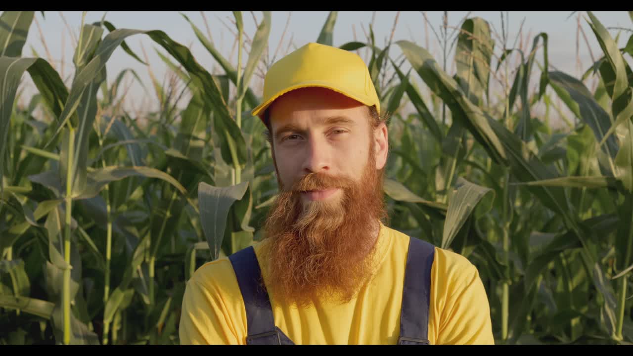 Farmer in a Cornfield