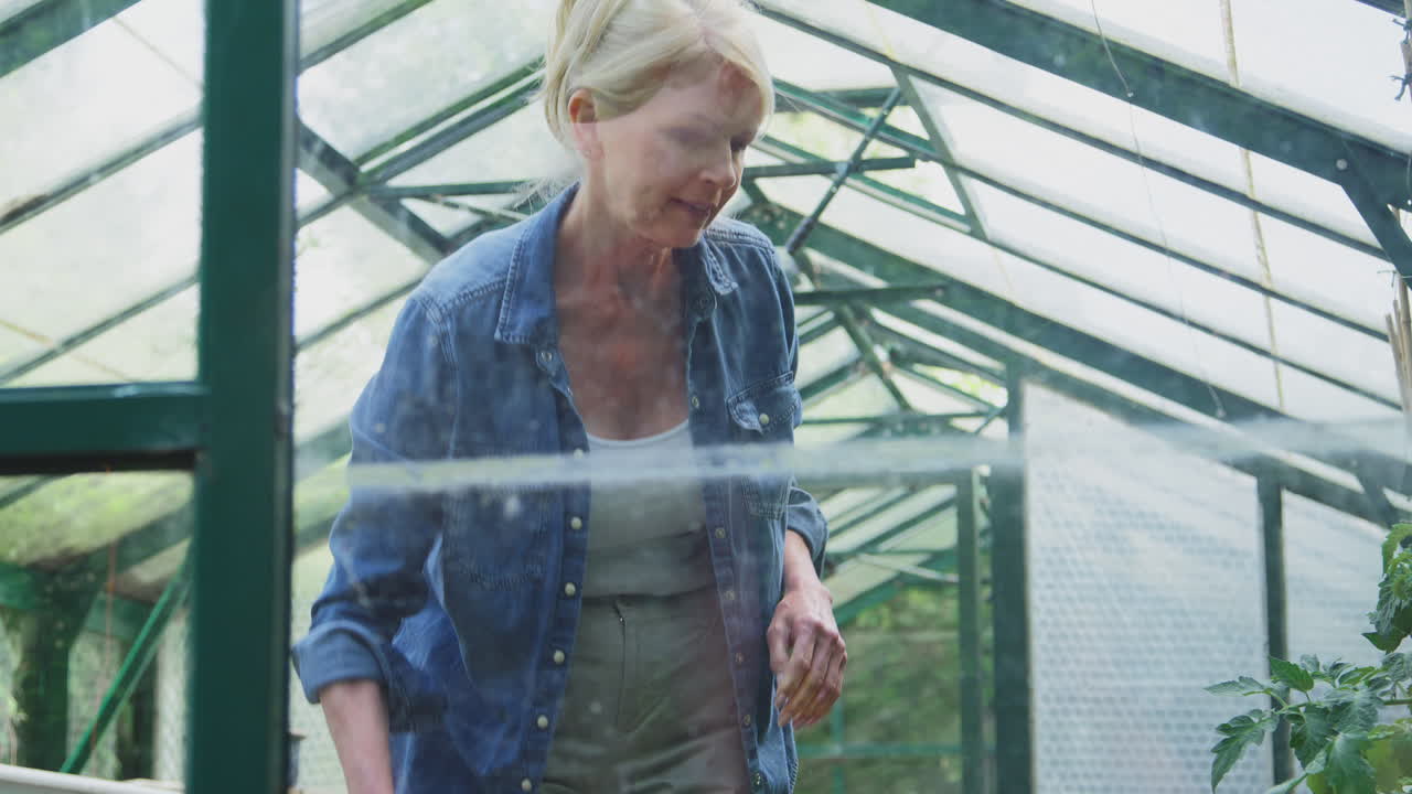 Mature Woman With Watering Can Gardening In Greenhouse At Home