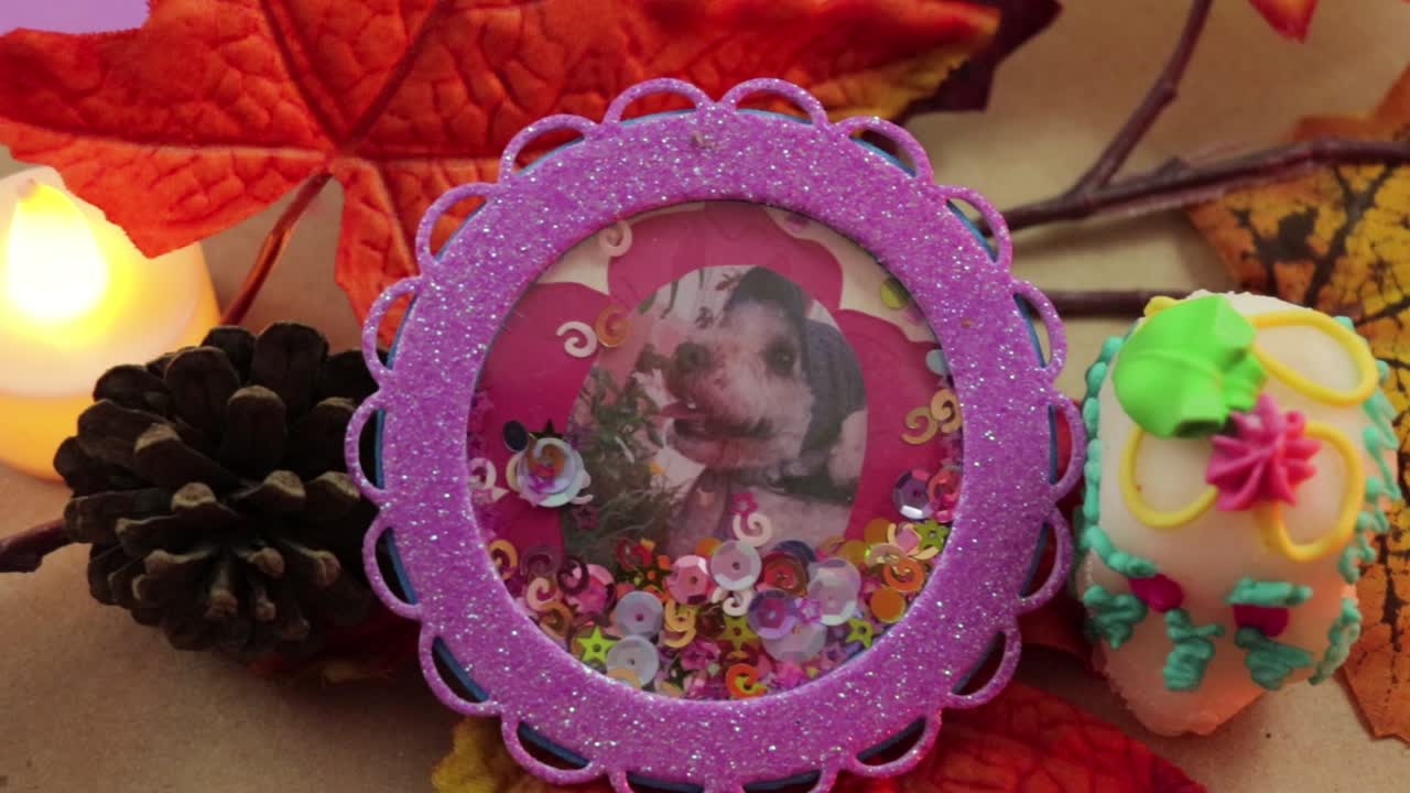 Dia de muertos. Shaker con cucciolo morto